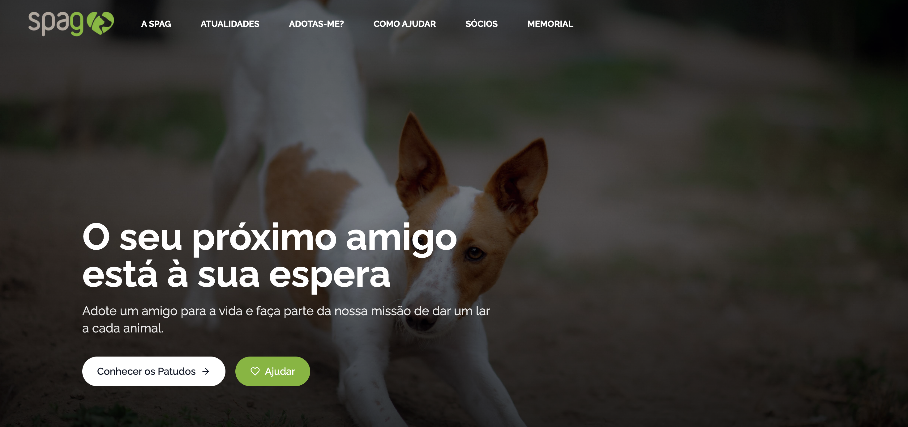 SPAG website after redesign