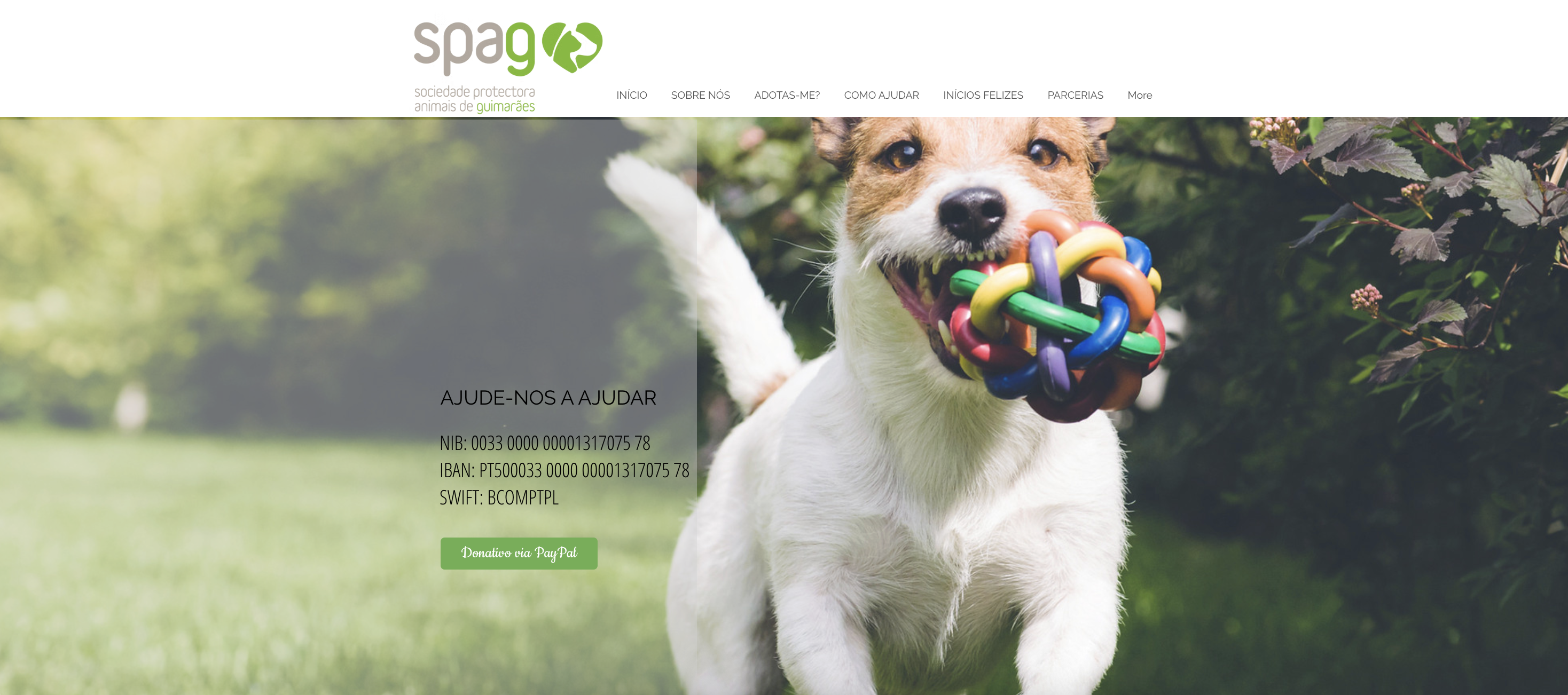SPAG website before redesign